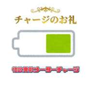 ヒメ日記 2025/06/11 20:16 投稿 のぞみ 千葉松戸ちゃんこ