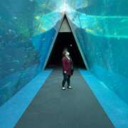 ヒメ日記 2025/07/13 11:56 投稿 のぞみ 千葉松戸ちゃんこ