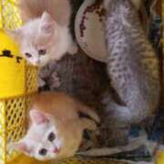 ヒメ日記 2025/07/18 08:58 投稿 のぞみ 千葉松戸ちゃんこ