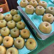 ヒメ日記 2025/08/15 10:11 投稿 のぞみ 千葉松戸ちゃんこ