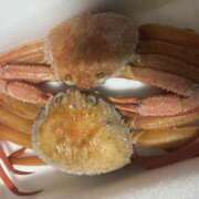 ヒメ日記 2026/01/20 22:13 投稿 のぞみ 千葉松戸ちゃんこ