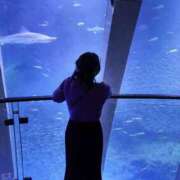 ヒメ日記 2026/03/22 11:33 投稿 のぞみ 千葉松戸ちゃんこ