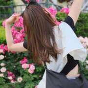 ヒメ日記 2025/04/19 14:37 投稿 夏目叶夢 金瓶梅(きんぺいぱい)(雄琴)