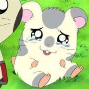 ヒメ日記 2024/12/28 23:44 投稿 つづり 金瓶梅(きんぺいぱい)(雄琴)