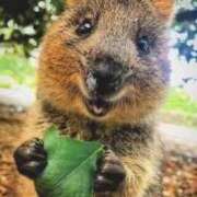 ヒメ日記 2025/04/17 20:34 投稿 つづり 金瓶梅(きんぺいぱい)(雄琴)