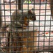 ヒメ日記 2025/07/11 20:24 投稿 つづり 金瓶梅(きんぺいぱい)(雄琴)