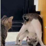 ヒメ日記 2025/09/02 18:44 投稿 つづり 金瓶梅(きんぺいぱい)(雄琴)