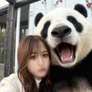 ヒメ日記 2025/11/06 21:44 投稿 つづり 金瓶梅(きんぺいぱい)(雄琴)