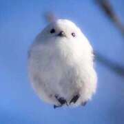 ヒメ日記 2025/03/09 21:07 投稿 ゆな 金瓶梅(きんぺいぱい)(雄琴)