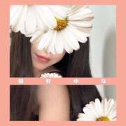 ヒメ日記 2025/05/05 11:24 投稿 ゆな 金瓶梅(きんぺいぱい)(雄琴)