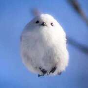 ヒメ日記 2025/10/10 13:45 投稿 ゆな 金瓶梅(きんぺいぱい)(雄琴)