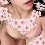 ヒメ日記 2026/04/05 12:14 投稿 ゆな 金瓶梅(きんぺいぱい)(雄琴)