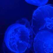 ヒメ日記 2025/02/09 00:44 投稿 らら 金瓶梅(きんぺいぱい)(雄琴)