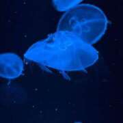 ヒメ日記 2025/05/21 00:54 投稿 らら 金瓶梅(きんぺいぱい)(雄琴)