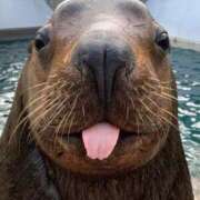 ヒメ日記 2025/01/23 13:25 投稿 りあ 金瓶梅(きんぺいぱい)(雄琴)