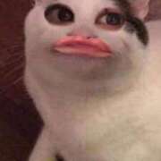 ヒメ日記 2025/05/17 16:44 投稿 りあ 金瓶梅(きんぺいぱい)(雄琴)