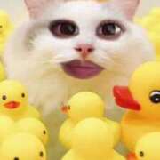 ヒメ日記 2025/07/25 16:47 投稿 りあ 金瓶梅(きんぺいぱい)(雄琴)