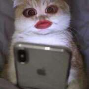 ヒメ日記 2025/07/27 10:14 投稿 りあ 金瓶梅(きんぺいぱい)(雄琴)