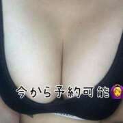 徳川はなび 19時30分〜予約可能です！早く来れました😊 奴隷志願！変態調教飼育クラブ梅田店