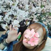 ヒメ日記 2025/03/24 11:21 投稿 波（なみ） 男爵