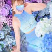 ヒメ日記 2025/05/20 14:02 投稿 波（なみ） 男爵