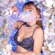 ヒメ日記 2025/12/20 11:30 投稿 波（なみ） 男爵