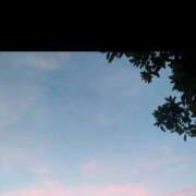 ヒメ日記 2025/09/30 14:23 投稿 ねね WOWOW UENO HEALTH STATION