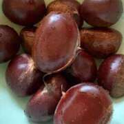 ヒメ日記 2025/09/29 19:49 投稿 なぎ デリバリーヘルス熊本インターちゃんこ