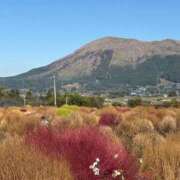 ヒメ日記 2025/11/26 18:59 投稿 なぎ デリバリーヘルス熊本インターちゃんこ