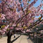 ヒメ日記 2025/12/25 10:19 投稿 なぎ デリバリーヘルス熊本インターちゃんこ