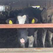 ヒメ日記 2025/12/26 11:59 投稿 なぎ デリバリーヘルス熊本インターちゃんこ