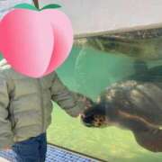 ヒメ日記 2026/02/20 11:59 投稿 なぎ デリバリーヘルス熊本インターちゃんこ