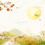 ヒメ日記 2025/11/18 10:02 投稿 あみ 尼妻（あまづま）