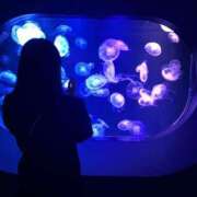 ヒメ日記 2026/01/07 15:43 投稿 高谷　みく ピンクダイア