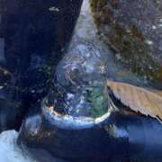 ヒメ日記 2024/12/28 11:25 投稿 タルトのユリカ C級グル女　鶯谷店