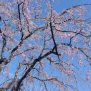 ヒメ日記 2026/03/21 13:35 投稿 ゆい 群馬高崎前橋ちゃんこ