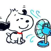 ヒメ日記 2025/07/12 12:01 投稿 ゆう 性腺熟女100％（デリヘル市場）