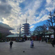 ヒメ日記 2026/01/22 23:15 投稿 ゆう 性腺熟女100％本店（デリヘル市場）