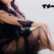 ヒメ日記 2025/11/09 05:47 投稿 あわび ドMな奥さん 日本橋店