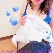 ヒメ日記 2025/04/15 15:00 投稿 ふう ぷるるん小町 京橋店