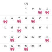 ヒメ日記 2024/12/29 22:21 投稿 イスズ PLATINUM