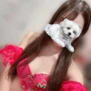 ヒメ日記 2025/11/24 14:44 投稿 イスズ PLATINUM