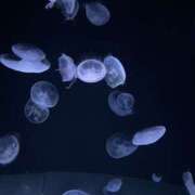 ヒメ日記 2025/02/05 15:51 投稿 まみ SKY(スカイ)