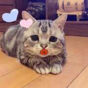 ヒメ日記 2024/12/10 00:30 投稿 ねね カワサキ EROTIC