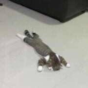 ヒメ日記 2024/12/26 15:16 投稿 ねね カワサキ EROTIC