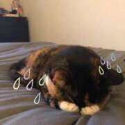 ヒメ日記 2025/01/09 14:18 投稿 ねね カワサキ EROTIC