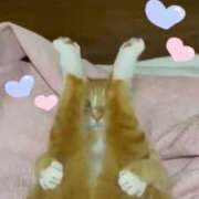 ヒメ日記 2025/01/09 23:16 投稿 ねね カワサキ EROTIC