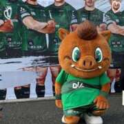 ヒメ日記 2025/01/12 21:10 投稿 ねね カワサキ EROTIC