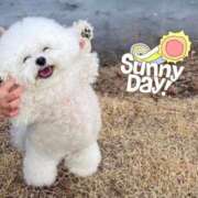 ヒメ日記 2025/01/20 11:15 投稿 ねね カワサキ EROTIC