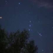 ヒメ日記 2025/01/21 22:17 投稿 ねね カワサキ EROTIC